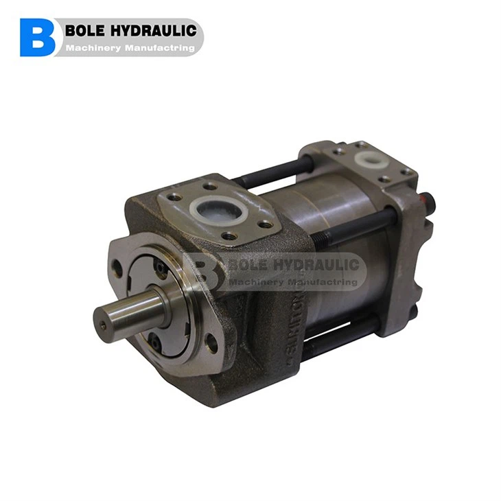 Gear Pump 082L-BI-3H