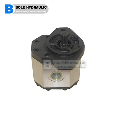 Bơm dầu bánh răng 2cy Series